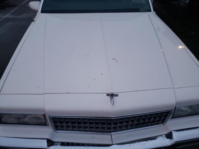 1G1BL51E8KA163511 - 1989 CHEVROLET CAPRICE WHITE photo 11