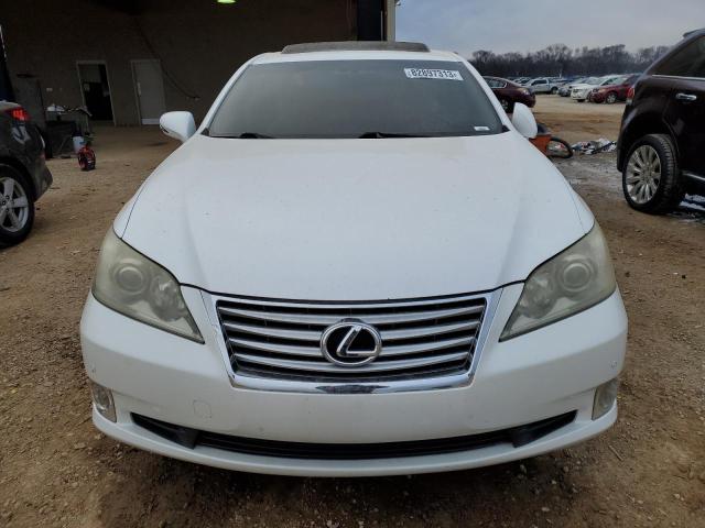 JTHBK1EG2A2368179 - 2010 LEXUS ES 350 WHITE photo 5