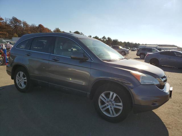 5J6RE4H79AL012644 - 2010 HONDA CR-V EXL BEIGE photo 4