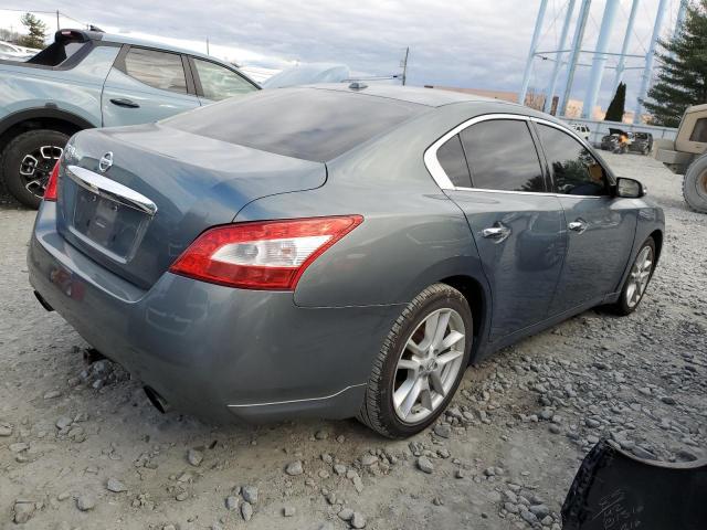 1N4AA5AP3AC842086 - 2010 NISSAN MAXIMA S GRAY photo 3