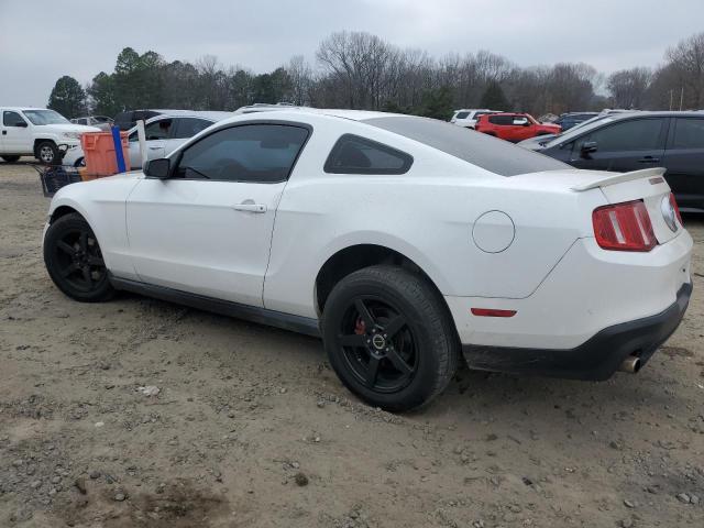 1ZVBP8AMXB5115549 - 2011 FORD MUSTANG WHITE photo 2