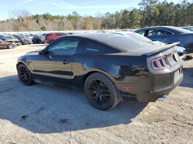 1ZVBP8CF7D5218641 - 2013 FORD MUSTANG GT BLACK photo 2