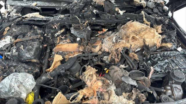 SALSP2E42DA760578 - 2013 LAND ROVER RANGE ROVE AUTOBIOGRAPHY BURN photo 11