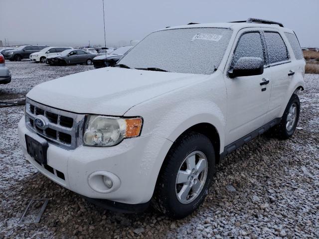 1FMCU0D7XBKA63067 - 2011 FORD ESCAPE XLT WHITE photo 1