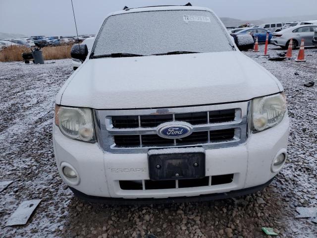 1FMCU0D7XBKA63067 - 2011 FORD ESCAPE XLT WHITE photo 5