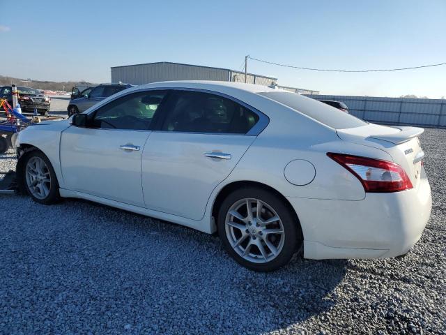 1N4AA5AP6BC865007 - 2011 NISSAN MAXIMA S WHITE photo 2