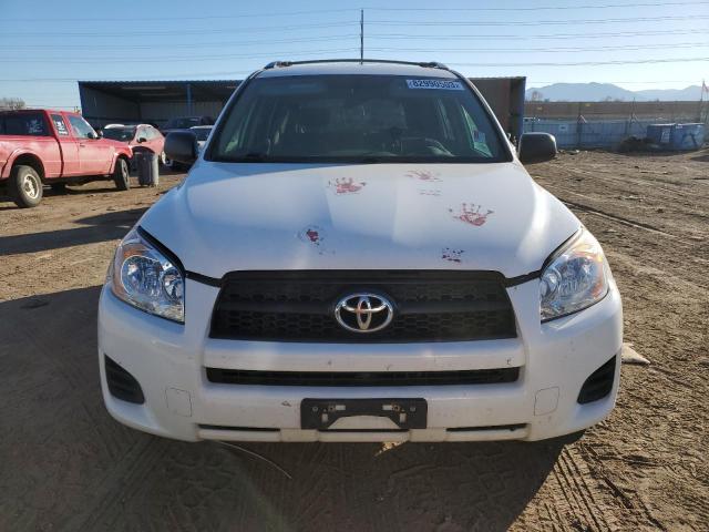 2T3BF4DV1AW081625 - 2010 TOYOTA RAV4 WHITE photo 5