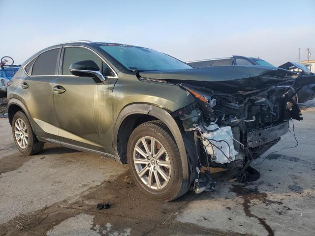 JTJDARBZ1M2187187 - 2021 LEXUS NX 300 BASE 绿色 照片 4