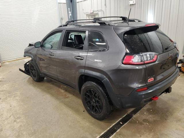 1C4PJMBN6KD162156 - 2019 JEEP CHEROKEE TRAILHAWK GRAY photo 2