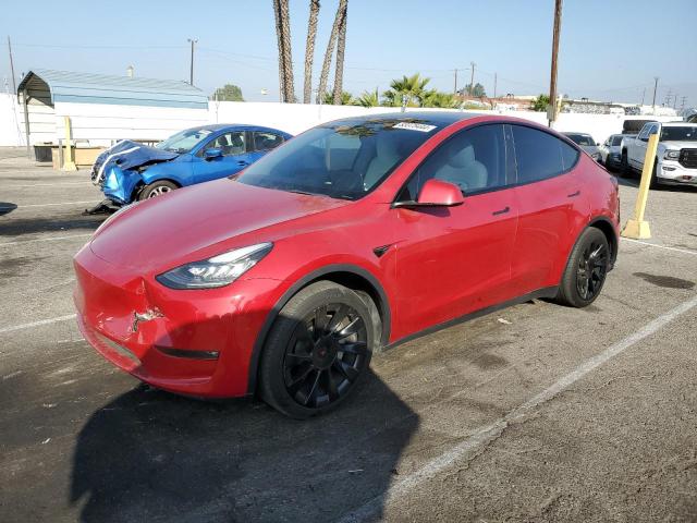 2021 TESLA MODEL Y, null