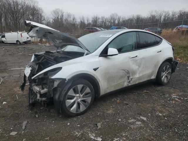 2021 TESLA MODEL Y, 