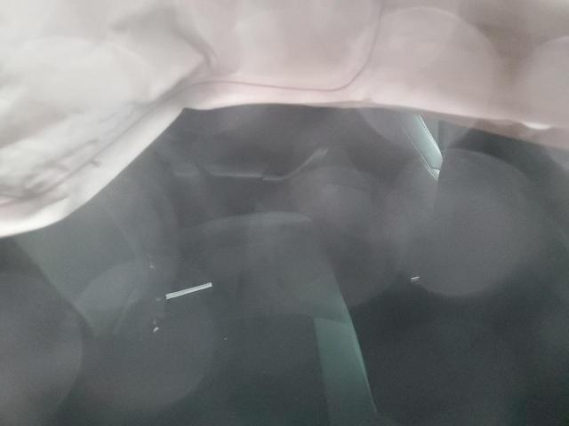 5YJSA1E53MF429348 - 2021 TESLA MODEL S BLACK photo 10