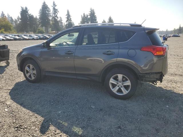 JTMWFREV3EJ011299 - 2014 TOYOTA RAV4 XLE Boz foto 2