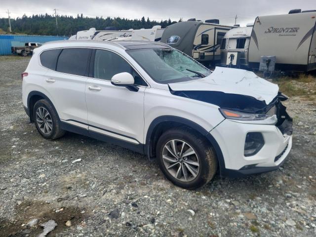 5NMS3CAD2LH253098 - 2020 HYUNDAI SANTA FE SEL 白色 照片 4