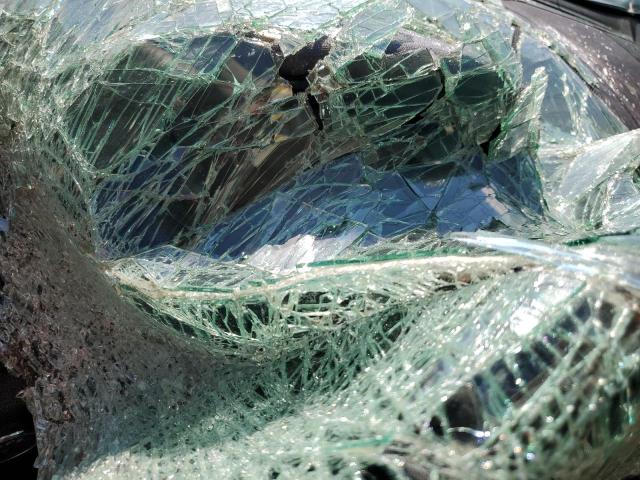 MAJ6S3JL9LC365302 - 2020 FORD ECOSPORT SES 灰色 照片 9