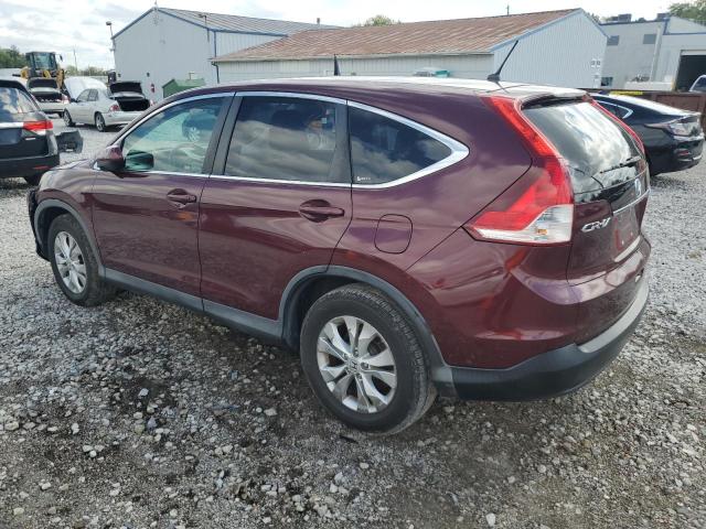 5J6RM4H52CL037339 - 2012 HONDA CR-V EX BURGUNDY photo 2