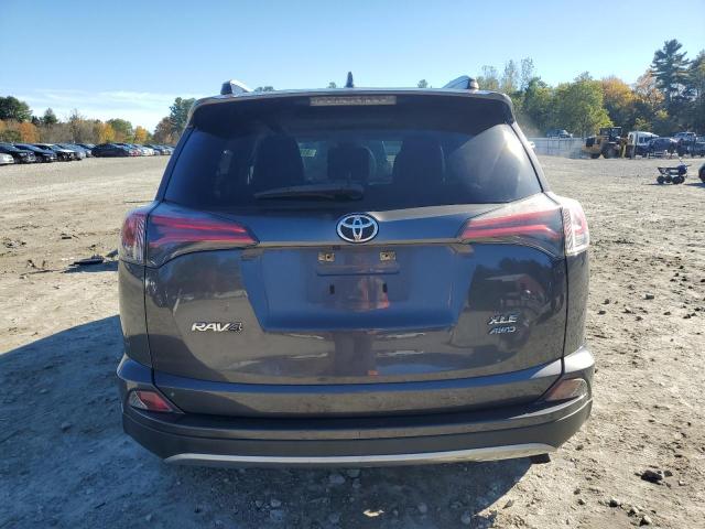 JTMRFREV7HJ148036 - 2017 TOYOTA RAV4 XLE Boz foto 6