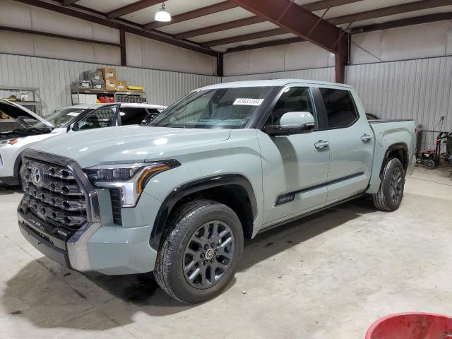 5TFNA5DBXRX230287 - 2024 TOYOTA TUNDRA CREWMAX PLATINUM ნაცრისფერი ფოტო 1