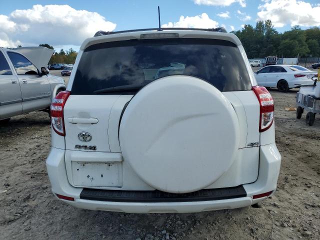 2T3BF4DV4BW164127 - 2011 TOYOTA RAV4 WHITE photo 6