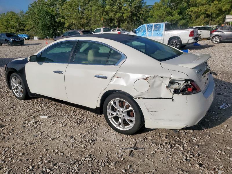 1N4AA5AP2DC806670 - 2013 NISSAN MAXIMA S WHITE photo 2