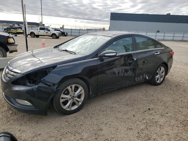 2013 HYUNDAI SONATA SE, 