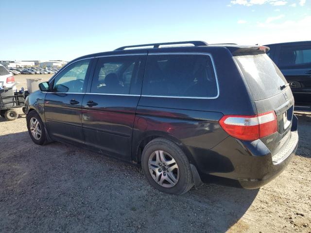 5FNRL38695B511076 - 2005 HONDA ODYSSEY EXL Qara foto 2