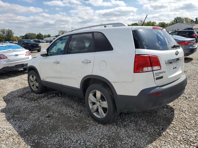 5XYKUDA22DG367227 - 2013 KIA SORENTO EX Ağ foto 2