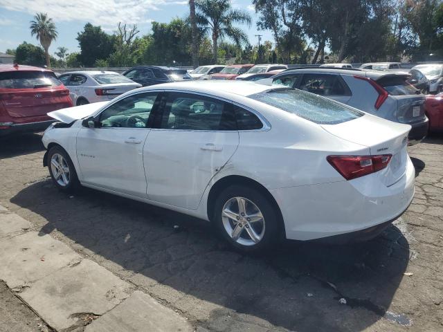 1G1ZD5STXRF165458 - 2024 CHEVROLET MALIBU LT 白色 照片 2