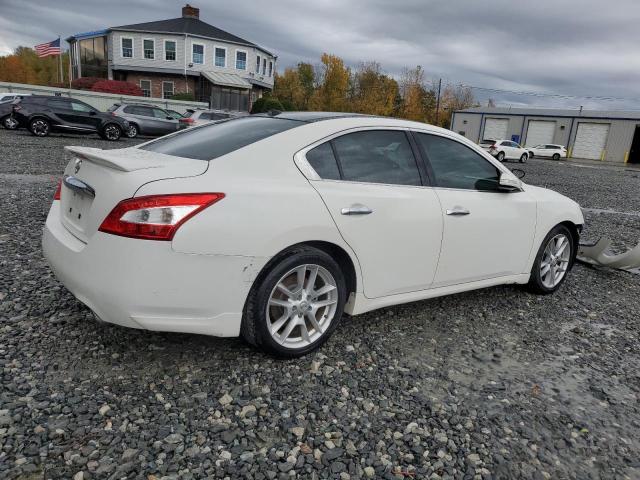 1N4AA5AP8BC862660 - 2011 NISSAN MAXIMA S WHITE photo 3