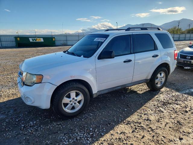 2008 FORD ESCAPE XLT, 