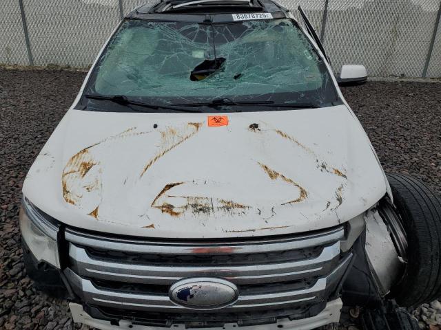 2FMDK3JC9DBC06018 - 2013 FORD EDGE SEL 白色 照片 12
