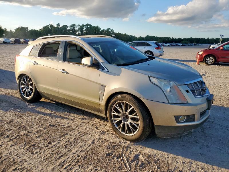 3GYFNJE42AS571507 - 2010 CADILLAC SRX PERFORMANCE COLLECTION Bej fotoğraf 4