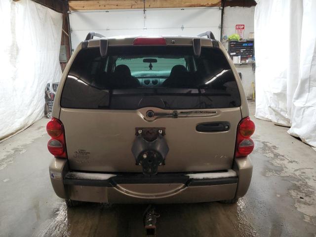 1J4GL38KX2W366524 - 2002 JEEP LIBERTY RENEGADE 米色 照片 6