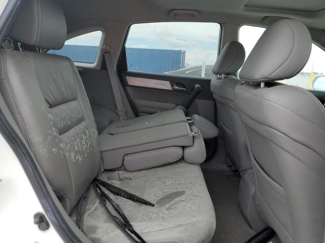 5J6RE3H74AL006406 - 2010 HONDA CR-V EXL 白色 照片 10
