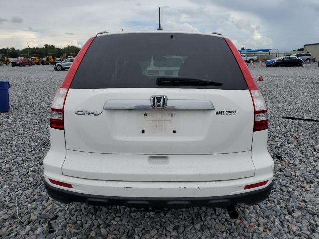 5J6RE3H74AL006406 - 2010 HONDA CR-V EXL 白色 照片 6