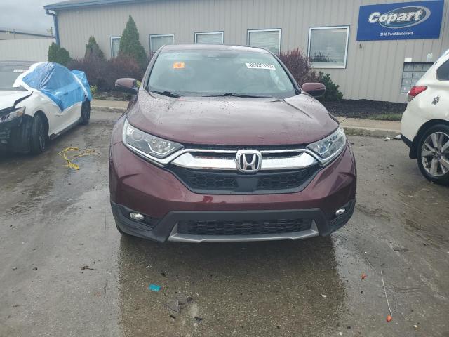 2HKRW2H81KH664809 - 2019 HONDA CR-V EXL BURGUNDY photo 5
