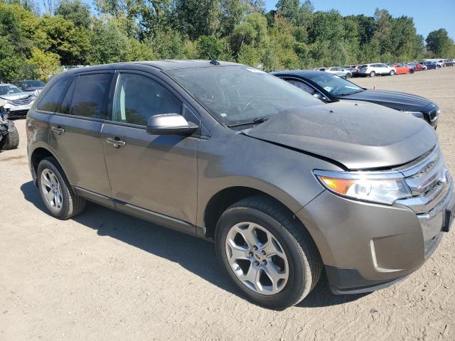 2FMDK4JCXEBA55181 - 2014 FORD EDGE SEL GRAY photo 4