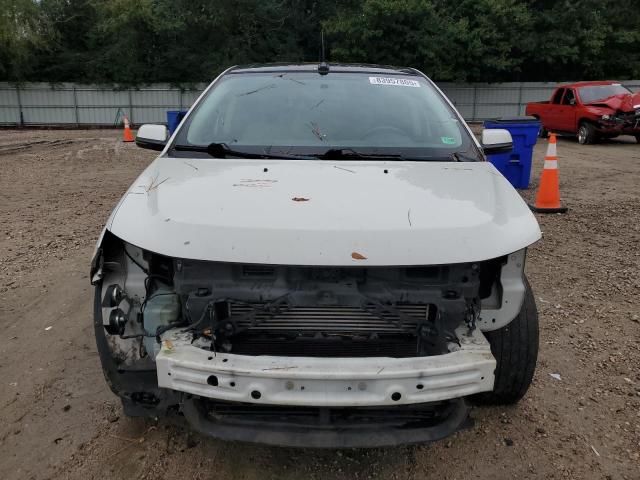 2FMDK3J98DBA02816 - 2013 FORD EDGE SEL Սպիտակ լուսանկար 5