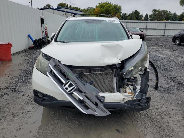 5J6RM4H76EL118106 - 2014 HONDA CR-V EXL أبيض صورة 5