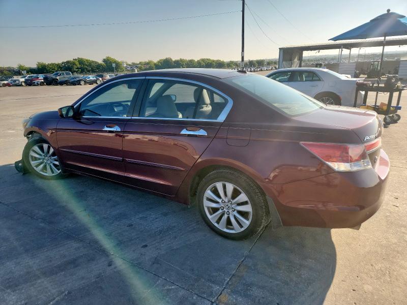1HGCP3F89CA040195 - 2012 HONDA ACCORD EXL MAROON photo 2