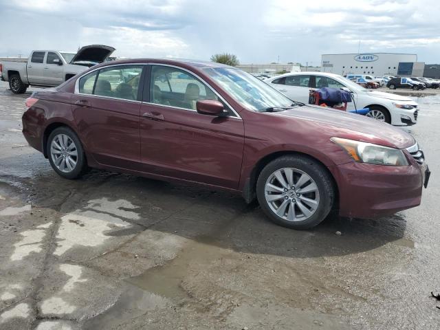 1HGCP2F80BA022788 - 2011 HOND ACCORD EXL BURGUNDY photo 4
