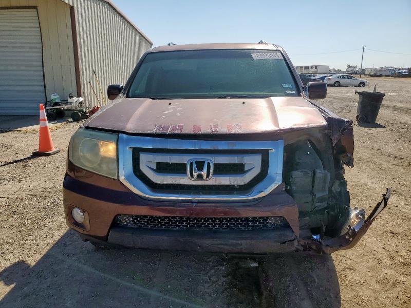 5FNYF3H46BB051484 - 2011 HONDA PILOT EX MAROON photo 5