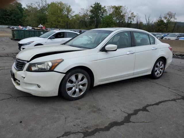 2010 HONDA ACCORD EXL, null