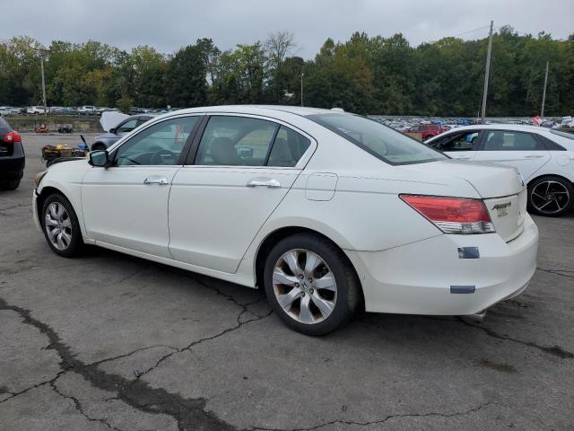 1HGCP3F87AA016782 - 2010 HONDA ACCORD EXL 白色 照片 2