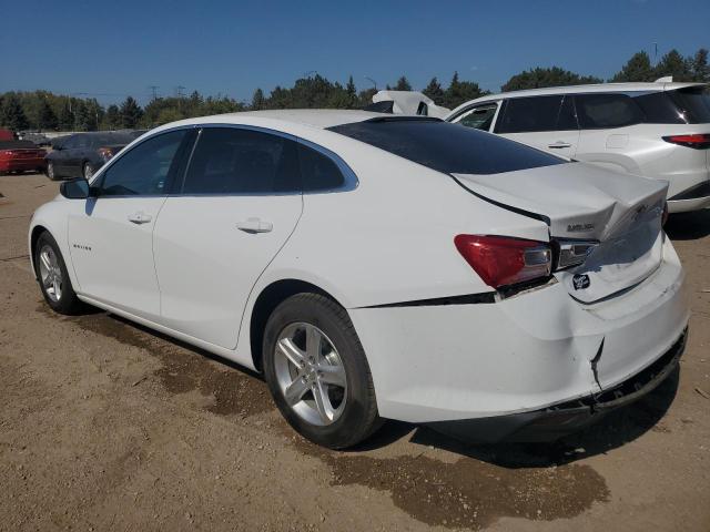 1G1ZB5ST3LF010862 - 2020 CHEVROLET MALIBU LS Սպիտակ լուսանկար 2