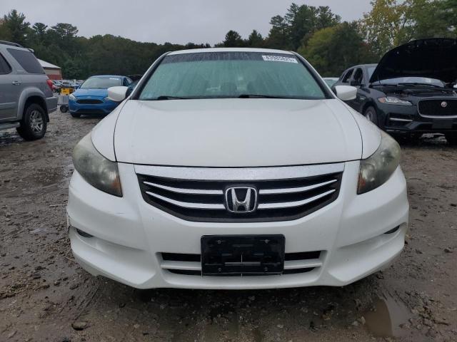 1HGCP3F80BA024367 - 2011 HONDA ACCORD EXL თეთრი ფოტო 5