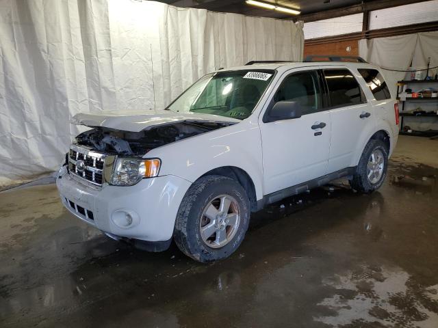 2009 FORD ESCAPE XLT, 