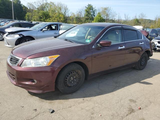 2011 HONDA ACCORD EXL, 