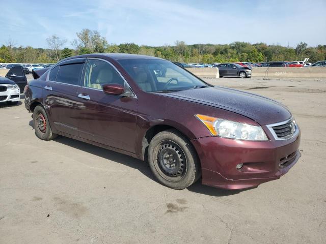 1HGCP3F87BA015598 - 2011 HONDA ACCORD EXL BURGUNDY photo 4
