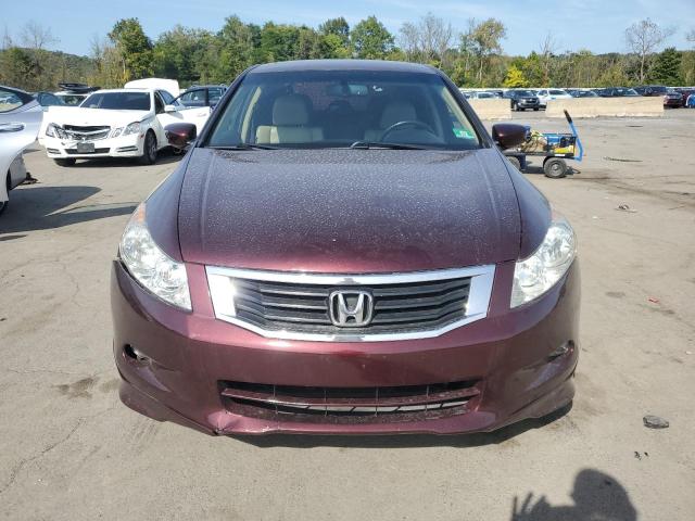 1HGCP3F87BA015598 - 2011 HONDA ACCORD EXL BURGUNDY photo 5